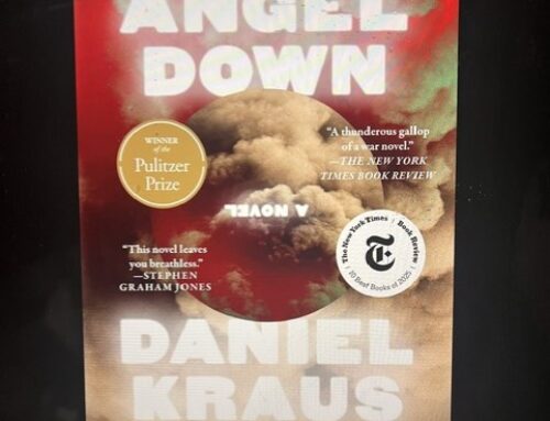 ANGEL DOWN by Daniel Kraus